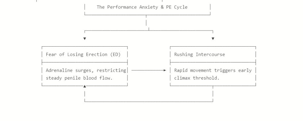 The Performance Anxiety PE Cycle