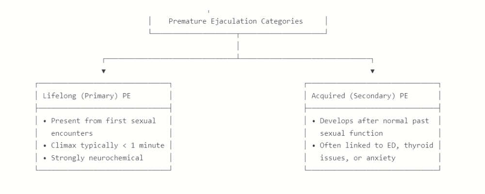 premature ejaculation categories